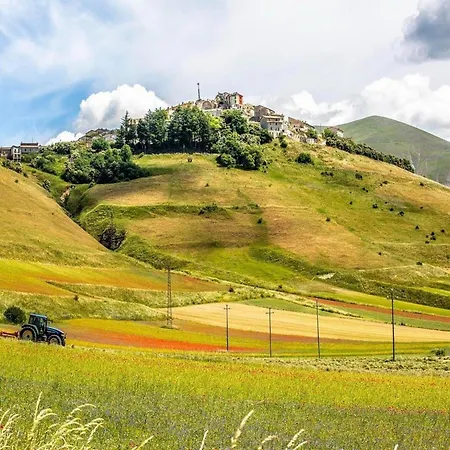 In Near Mount Subasio, Cleaning Included